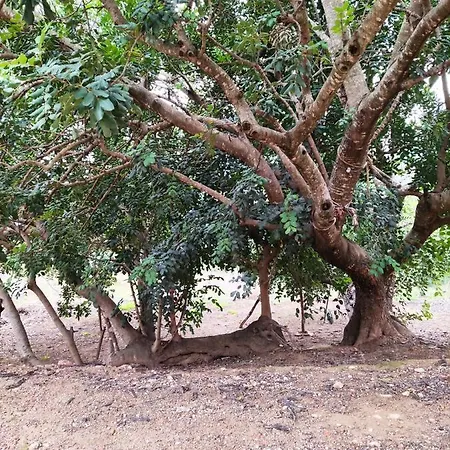 La Rueda Rurales Country house Chulilla